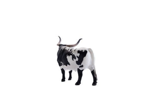 Little Buster Longhorn Black and White - Cowboy SwaggerLittle Buster Longhorn Black and White