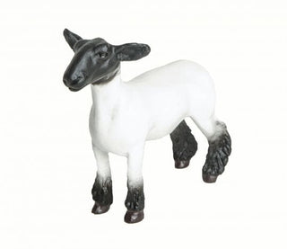 Cowboy Swagger Action & Toy Figures Little Buster Champion Crossbred Market Lamb