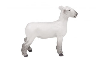 Little Buster Champion Dorset Market Lamb - Cowboy SwaggerLittle Buster Champion Dorset Market LambAction & Toy Figures