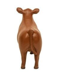 Little Buster Champion Show Steer Red - Cowboy SwaggerLittle Buster Champion Show Steer RedAction & Toy Figures