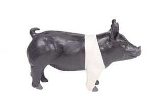 Little Buster Toys Hampshire Show Pig – 1/16th Scale Champion Hog - Cowboy SwaggerLittle Buster Toys Hampshire Show Pig – 1/16th Scale Champion HogAction & Toy Figures